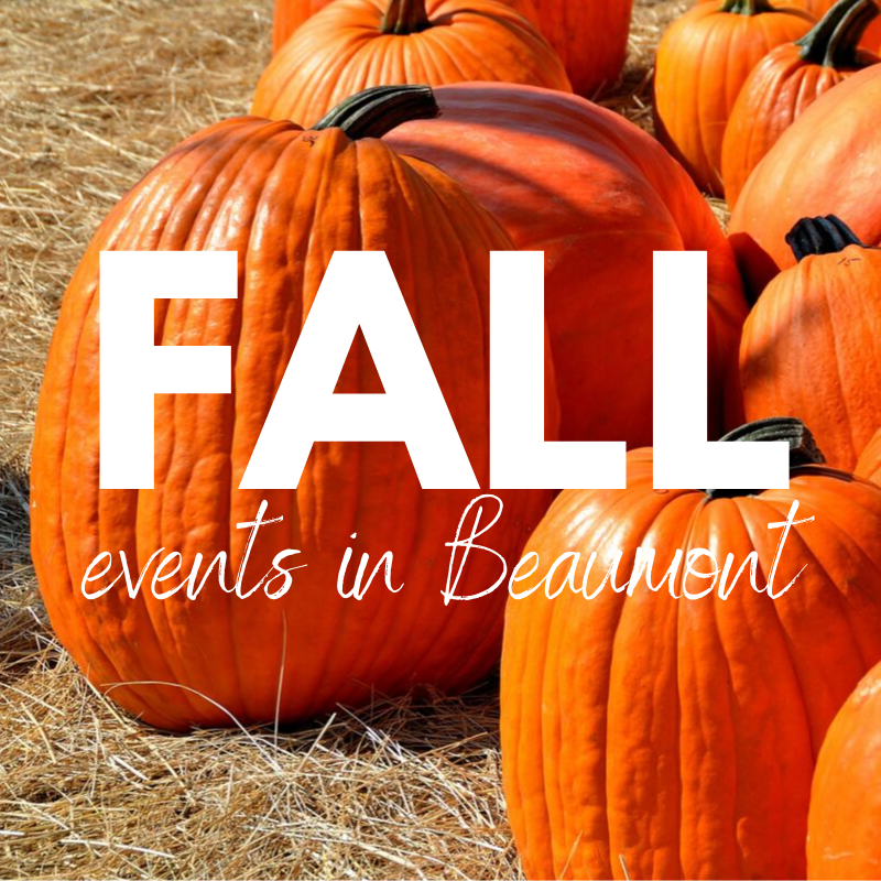 Photo of pumpkins with words 