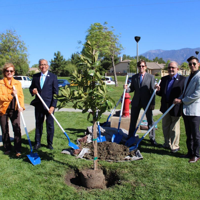 Carroll, Santos, Parton, Mehlman and WRCOG rep planting a tree