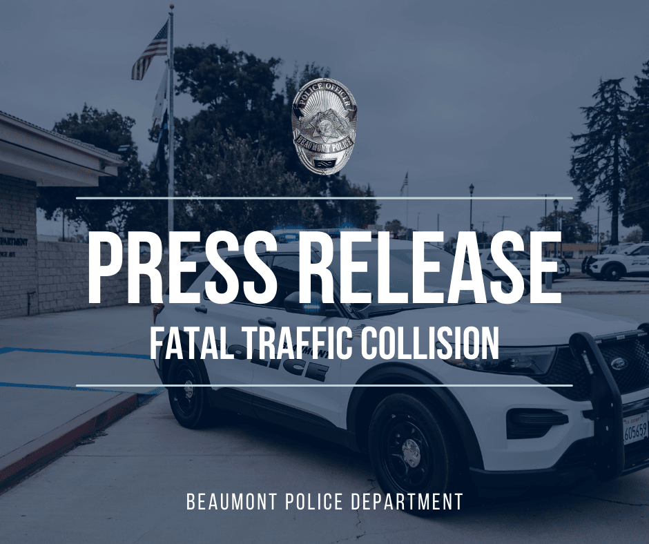 Investigation: Fatal Traffic Collision Graphic