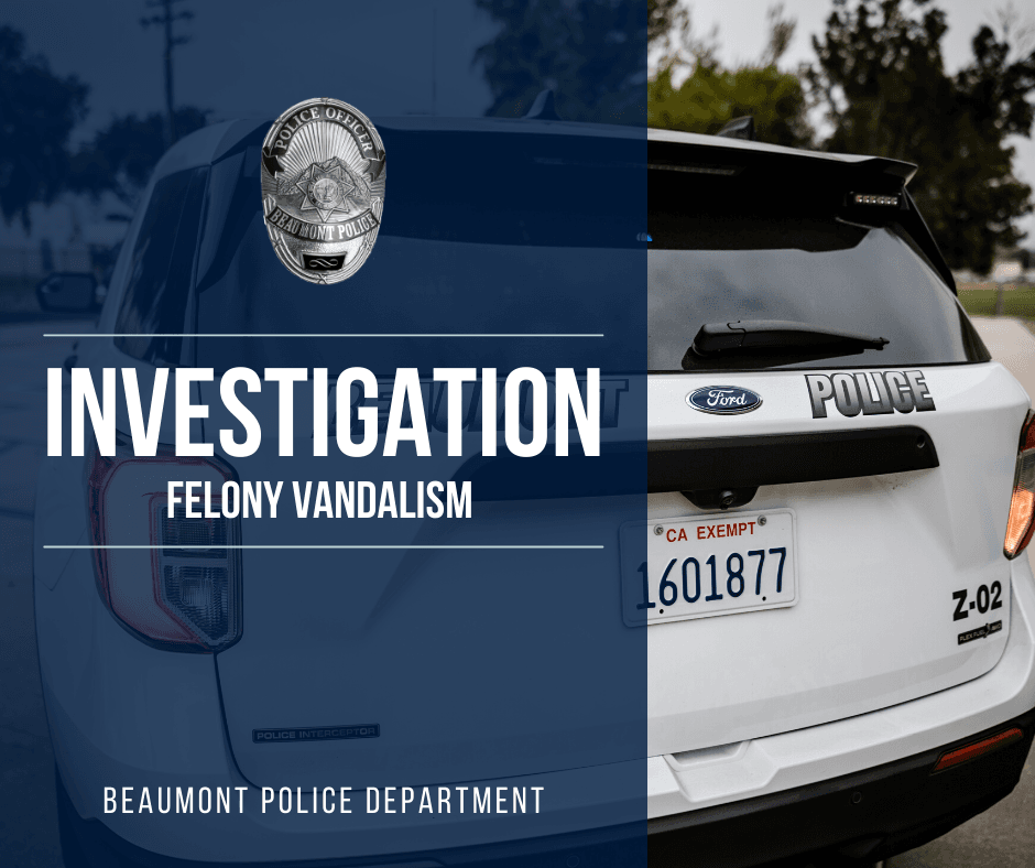 Investigation: Felony Vandalism Graphic