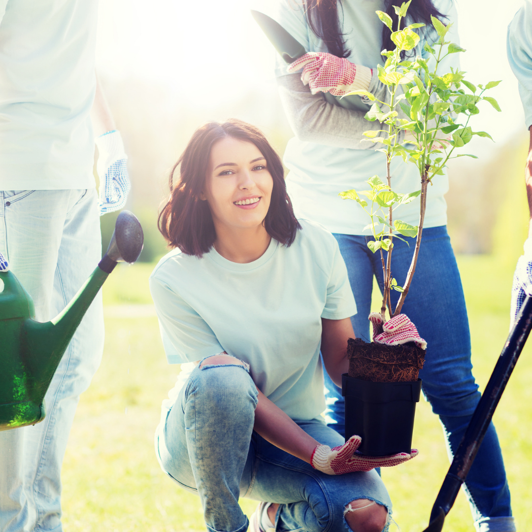 Photo of person planting a tree 