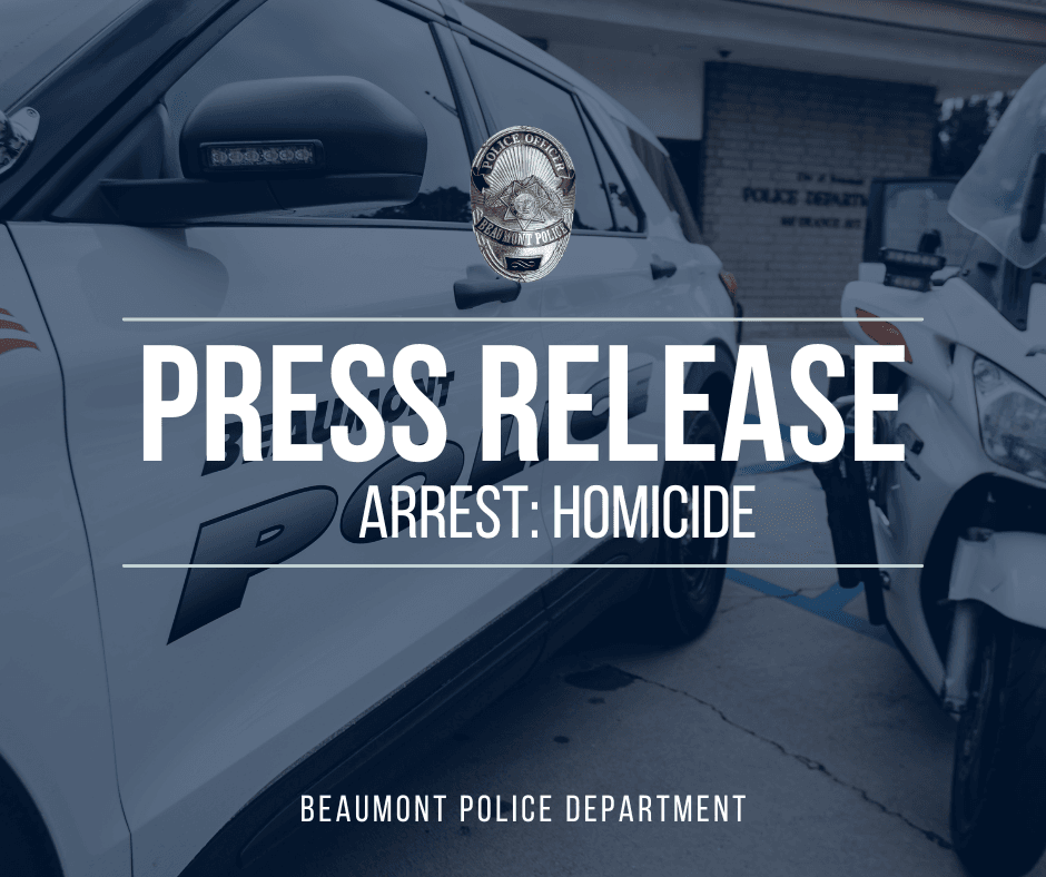 Arrest: Homicide Graphic 2